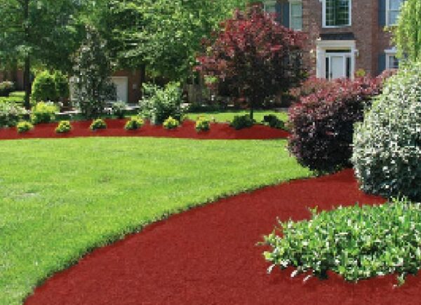 Red Mulch - Image 3