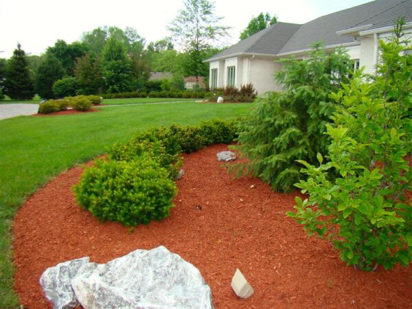 Red Mulch - Image 2