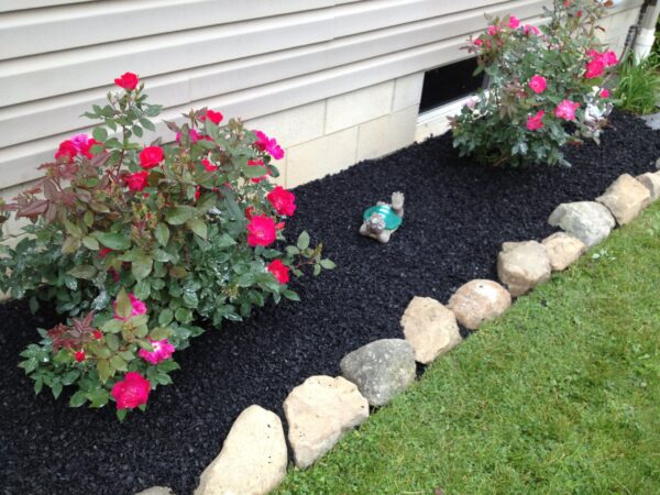 Black Mulch - Image 3